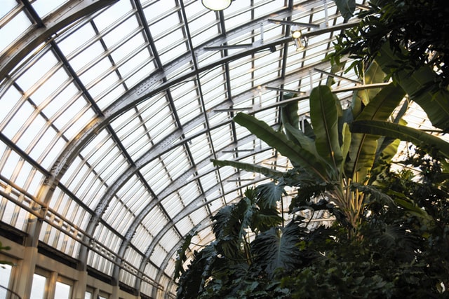 glas von einem wintergarten